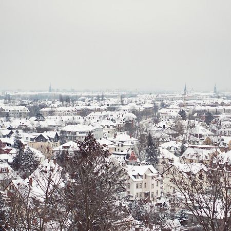 Bergwirtschaft Wilder Mann Hotel Und Restaurant Dresden Exteriör bild